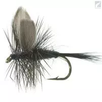 Unique Flies Black Gnat