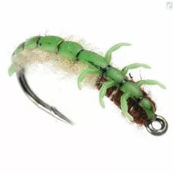 J:sonSweden Caddis Larva