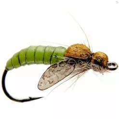 J:sonSweden Caddis Pupa