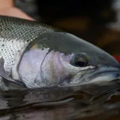 Cortland Compact Switch -Fly Rods Shop cortland compact switch 4