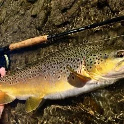 Cortland Competition MKII - European Style Nymphing -Fly Rods Shop cortland competition mkii european style nymphing 5