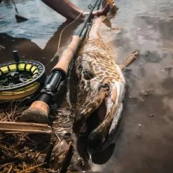 Cortland Competition MKII Rod -Fly Rods Shop cortland competition mkii rod 4