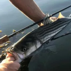 Cortland Competition MKII Rod -Fly Rods Shop cortland competition mkii rod 5