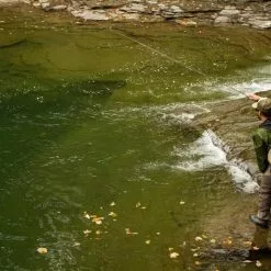 Cortland Euro Nymph Braid Core 5 Cortland Euro Nymph Braid Core -Fly Rods Shop cortland euro nymph braid core 2