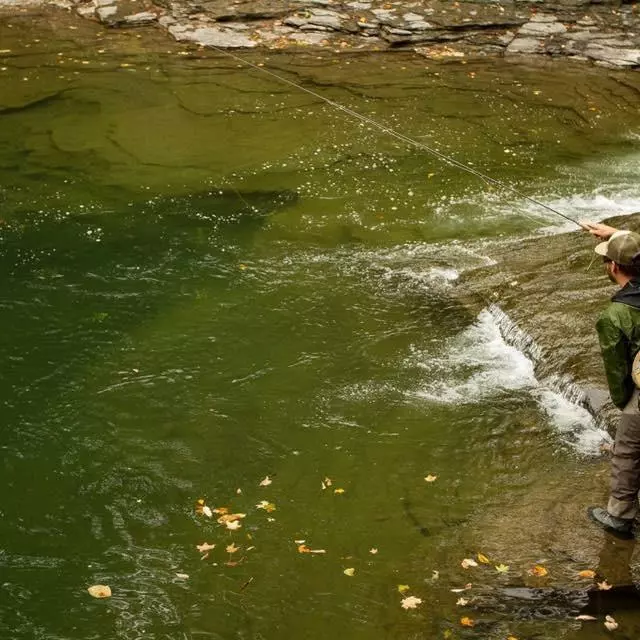 Cortland Euro Nymph Braid Core 3 Cortland Euro Nymph Braid Core - Image 3