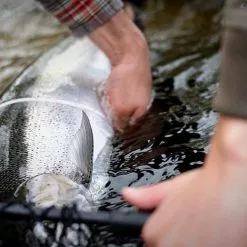 Cortland Salmon Steelhead -Fly Rods Shop cortland salmon steelhead 5