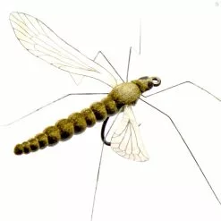 J:sonSweden Cranefly Saffron Gold
