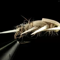 Fulling Mill Creeper Hare's Ear (Gold Nugget)