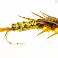 Fulling Mill Creeper Olive (Gold Nugget)