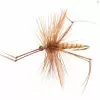 Unique Flies Daddy Long Legs
