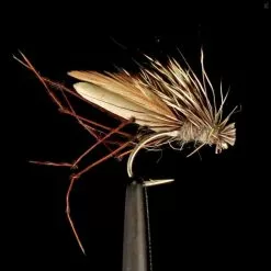 Fulling Mill Daddyhog