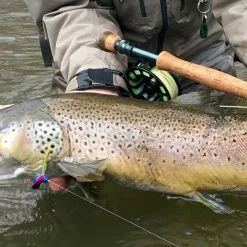 Douglas DXF -Fly Rods Shop douglas dxf 2