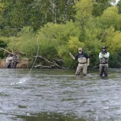 Douglas DXF -Fly Rods Shop douglas dxf 3