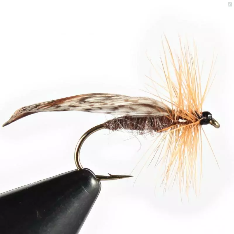 Unique Flies E-12 1 Unique Flies E-12