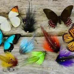 Frödinflies Butterfly Series -Fly Rods Shop frdinflies butterfly series 2