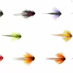 Frödinflies Butterfly Series