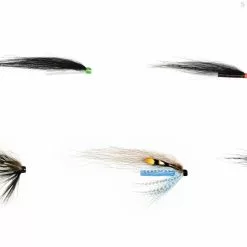 Frödinflies Hitch Flies