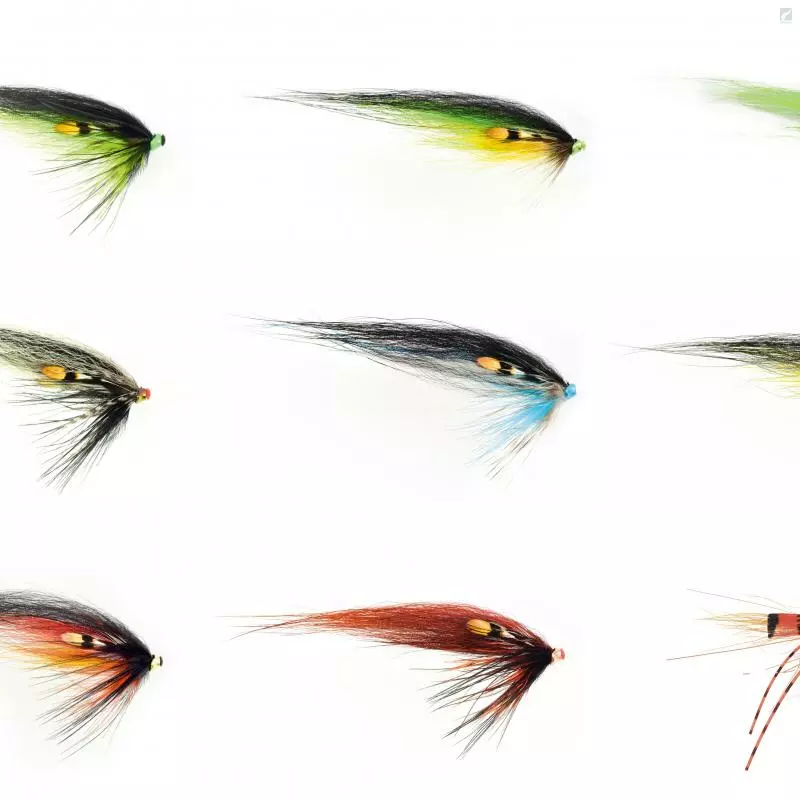 Frödinflies Micro Series 1 Frödinflies Micro Series