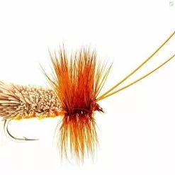 Fulling Mill Goddard Amber