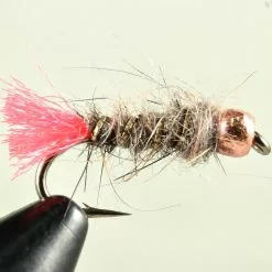 Fulling Mill Goddard Copperknob