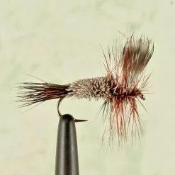 Fulling Mill Irresistible Adams