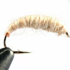 Fulling Mill Killer Bug