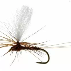 Unique Flies Marginata Dun Biot