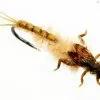 J:sonSweden Mayfly Nymph