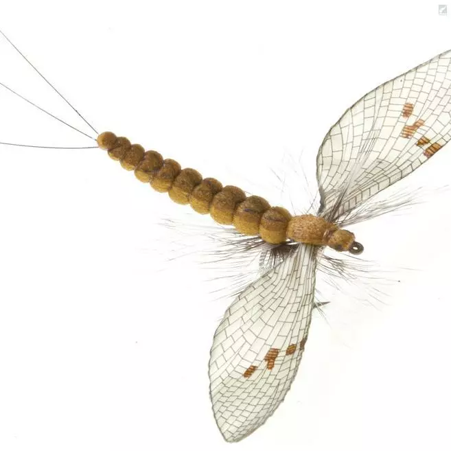 J:sonSweden Mayfly Spent 1 J:sonSweden Mayfly Spent