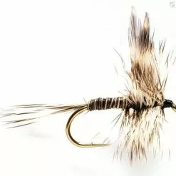 Fulling Mill Mosquito