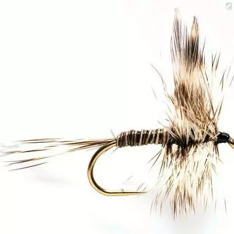 Fulling Mill Mosquito 1 Fulling Mill Mosquito