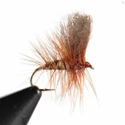 Nalle Puh (Unique Flies)