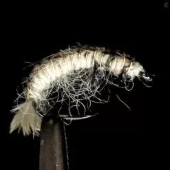 Fulling Mill Oliver Edward's Hydropsyche Larva