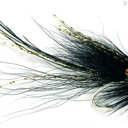 Fulling Mill Piglet Gledswood Stoat 1 Fulling Mill Piglet Gledswood Stoat