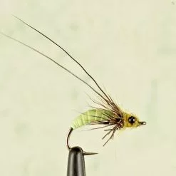 Fulling Mill Struggling Sedge