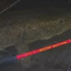 Vision Grand Daddy 5 Vision Grand Daddy -Fly Rods Shop vision grand daddy 2