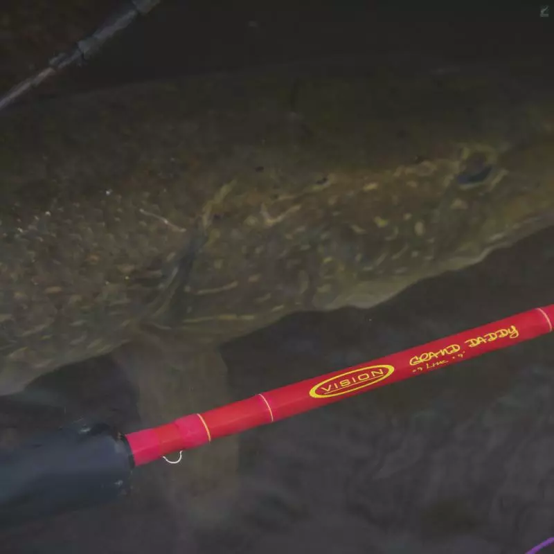 Vision Grand Daddy 3 Vision Grand Daddy - Image 3