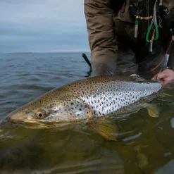 Vision Meri Fly Line 9 Vision Meri Fly Line -Fly Rods Shop vision meri fly line 3